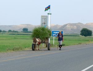 Donkey and cart