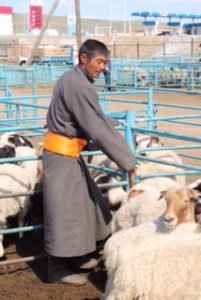 One of the sheep sellers