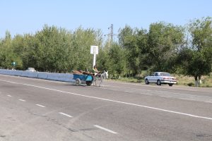 Donkey and cart on main road