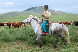 Mongolian Herdsman